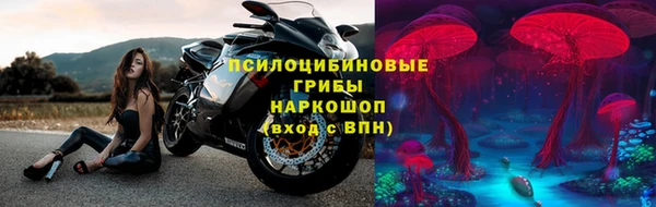 стафф Алзамай