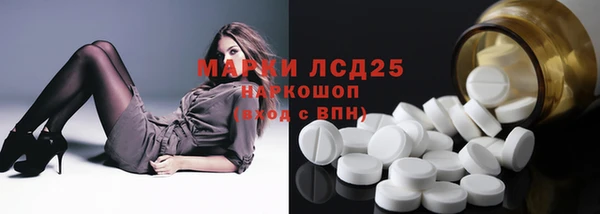 стафф Алзамай