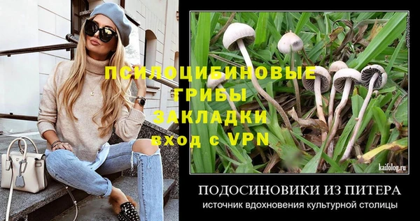 стафф Алзамай
