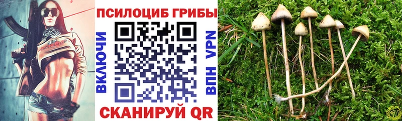 Галлюциногенные грибы прущие грибы как найти закладки Чехов